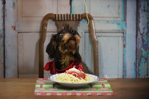 Spaghetti3